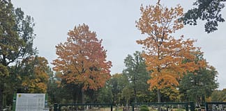 Sutvarkytos ir atnaujintos Alytaus rajono kapinės